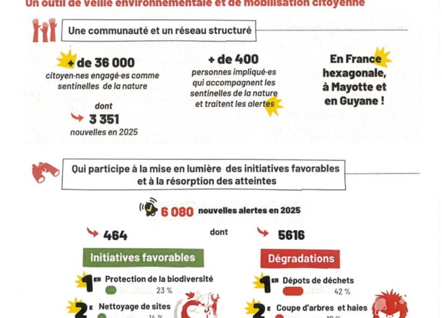 Décharge sauvage