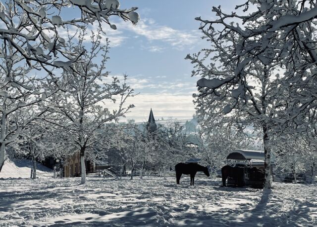 chambost longessaigne hiver paysage 3